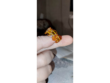 IMG 20241106 170250.jpg