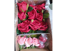 IMG 20241129 085914 178.jpg