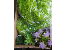 IMG 20241129 085904 646.jpg