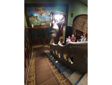 IMG 20241116 143202.jpg