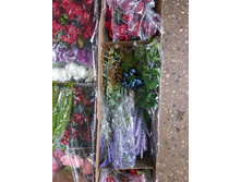 IMG 20241129 085903 936.jpg