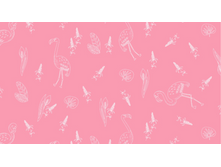 ���� �������� ����.png