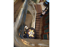 IMG 20241116 143643.jpg