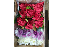 IMG 20241129 085913 980.jpg