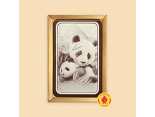 332 ���. pandy-160-gramm-3082-B.jpg