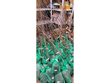 ����������� viber 2024-12-05 13-37-53-151.jpg