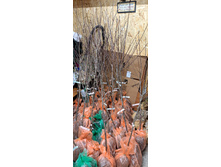 ����������� viber 2024-12-05 13-37-53-024.jpg