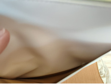 IMG 20241208 124143.jpg