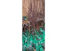 ����������� viber 2024-12-05 13-37-52-771.jpg