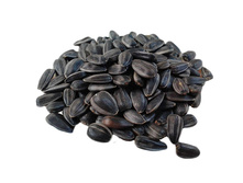 ������� ����������� ����������