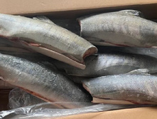 ���� �/� ������� ��������� 760 ���/��