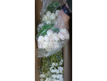 IMG 20241130 165924 386.jpg