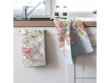 ��� ����