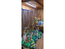 ����������� viber 2024-12-05 13-37-52-506.jpg