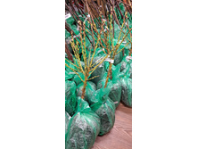 ����������� viber 2024-12-05 13-37-52-605.jpg