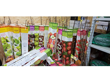 ����������� viber 2024-12-05 13-37-52-944.jpg