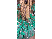 ����������� viber 2024-12-05 13-37-52-909.jpg