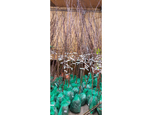 ����������� viber 2024-12-05 13-37-52-718.jpg