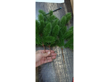 IMG 20241130 165924 136.jpg