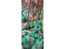 ����������� viber 2024-12-05 13-37-52-853.jpg