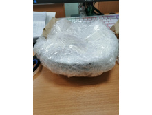 IMG 20241225 135636.jpg