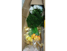 IMG 20241130 165923 856.jpg