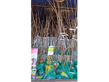 ����������� viber 2024-12-05 13-40-02-322.jpg