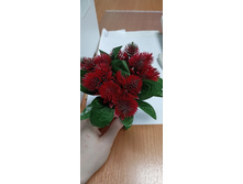 IMG 20241225 152242 497.jpg