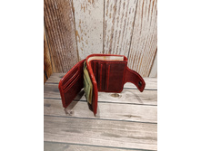 IMG 20241121 112844.jpg