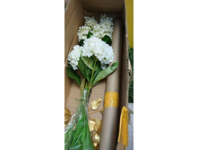 IMG 20241130 165928 818.jpg