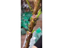 ����������� viber 2024-12-05 13-37-52-143.jpg