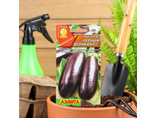 ������ �������� "������ �������" F1, 0,2 �