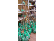 ����������� viber 2024-12-05 13-37-53-213.jpg