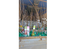 ����������� viber 2024-12-05 13-40-02-748.jpg