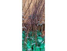 ����������� viber 2024-12-05 13-37-52-661.jpg