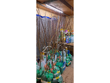 ����������� viber 2024-12-05 13-37-52-330.jpg