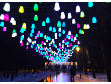 IMG 20250108 182324.jpg