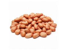 ������ ������� ����������