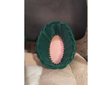 ��� �����, ����� � ����