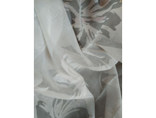 ��� ������ �����-����� �����