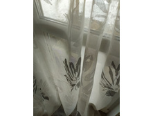 ��� ������ �����-����� �����