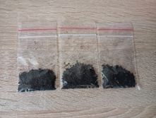 IMG 20241022 101948.jpg