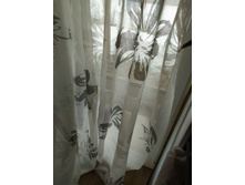 ��� ������ �����-����� �����