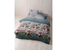 ����� ���� 220�� ���.21581-1.