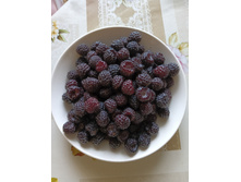 ������ ������