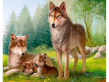 ������� �������� 20*30�� � JS20001 340�