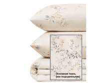 Florina �������������� ���������