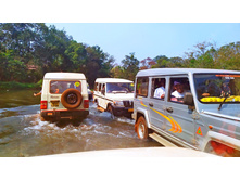 IMG 20250211 104426.jpg