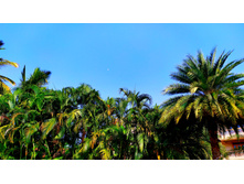 IMG 20250206 152736.jpg