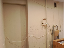 IMG 20241215 145629.jpg